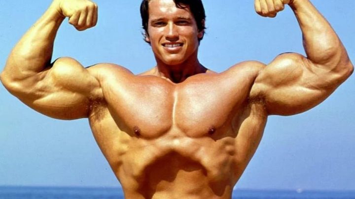 Арнольд Шварценеггер – актёр, спортсмен и политик - Информатор 1